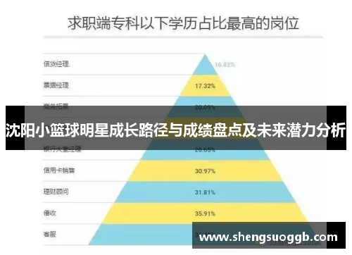 沈阳小篮球明星成长路径与成绩盘点及未来潜力分析